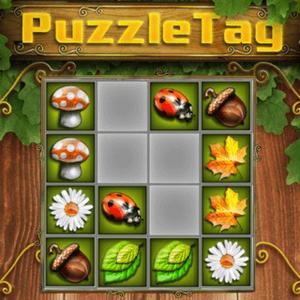 play Puzzletag