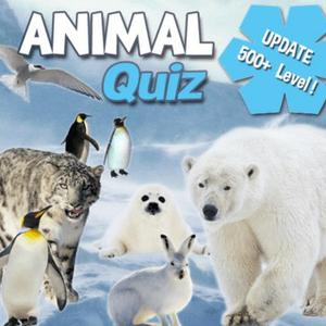 play Animal Quiz