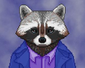 play The Raccoon Who Lost Their Shape