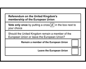 play Duckton Declares: The Referendum!