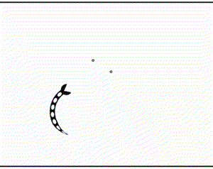 play Battle Snakes - Ld