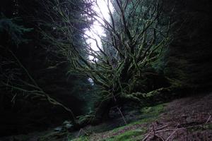 play Bloodstone Cairn