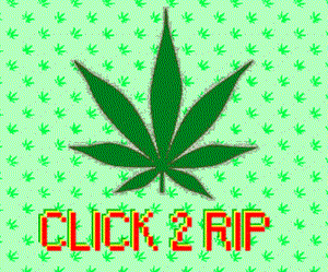 play Click 2 Rip