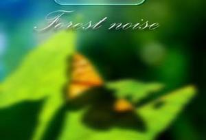 play Forest Noise