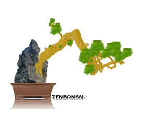 play Zenbonsai