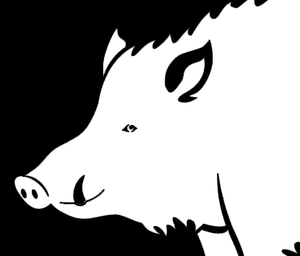 play American Pork