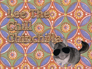 play Lee The Chill Chinchilla