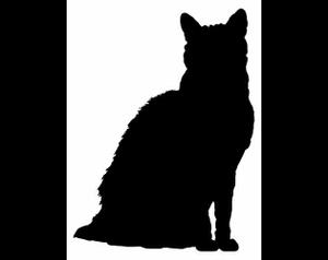play Cat Simulator 2016