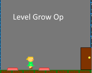 play Level Grow Op