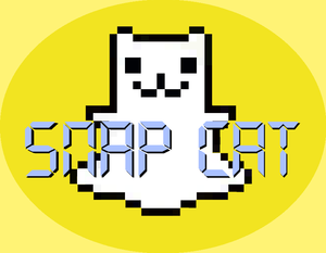 play Snap Cat!