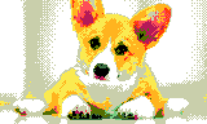 play Corgi Summer School: Supreme Court Edition
