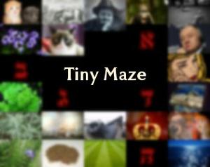 play Tiny Maze