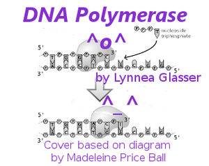 play Dna Polymerase