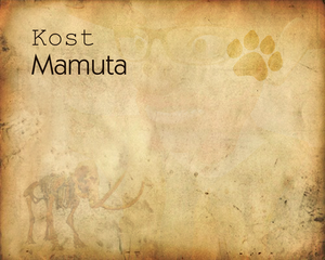 play Kost Mamuta