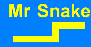 play Mr Snake