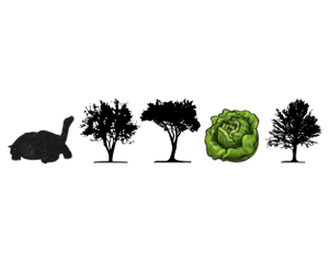 play Lettuce Walk