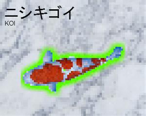 play ニシキゴイ (Koi)