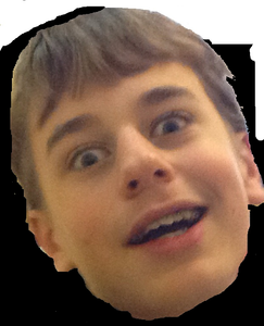 play Fleppy Erwin
