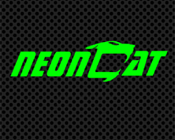 play Neon Cat