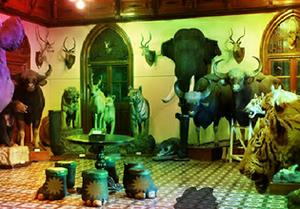 play Hunters Room Escape