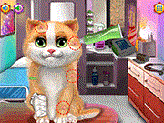 play Kitty Sick Care And Grooming