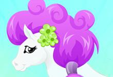 play Pony Hairstylist