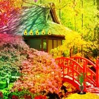 play Escape From Zingy Garden
