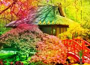 play Escape From Zingy Garden