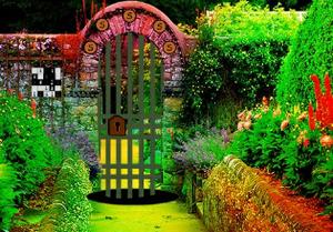 play Escape From Zingy Garden