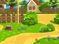 play Escape From Village