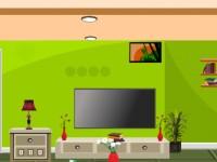 play Pretty Green House Escape