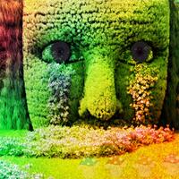 play Escape-From-Zingy-Garden