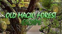 play Old Magic Forest Escape