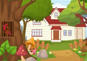 play Pink Bird Rescue