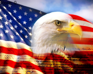 play The American Way