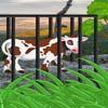 play Escapecowfrompolandmountain