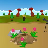 play Treasure Hunt Escape