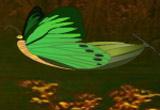 play Wizardry Escape
