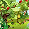 play Toll Jungle Forest Escape