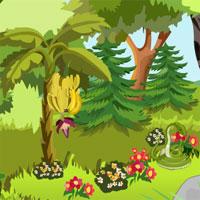 play Jungle Forest Escape