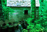 play Cool Forest Escape
