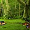 play Monster Magical Forest Escape
