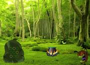 play Monster Magical Forest Escape