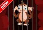 play Escape Tvsj Monkey