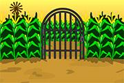 play Hooda Escape Iowa
