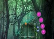 play Sumter Forest Escape