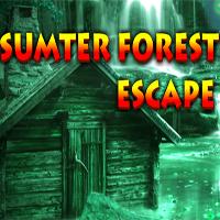 play Sumter Forest Escape