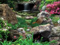 play Hued Garden Escape