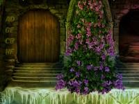 play Colorful Feathers Escape
