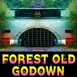 play Forest Old Godown Escape